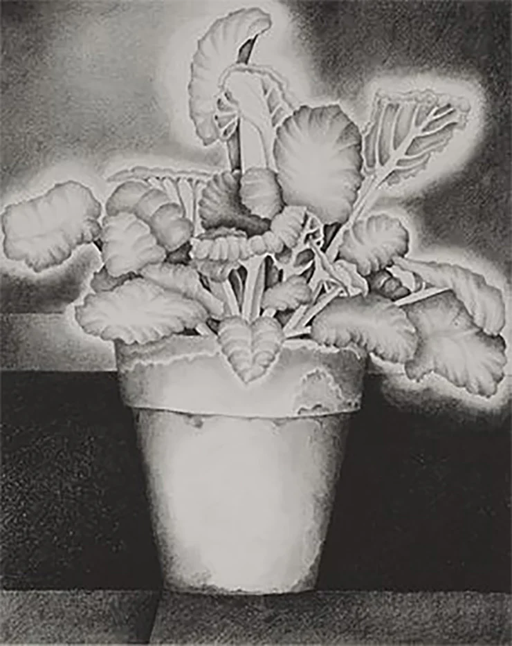 The Greenhouse
